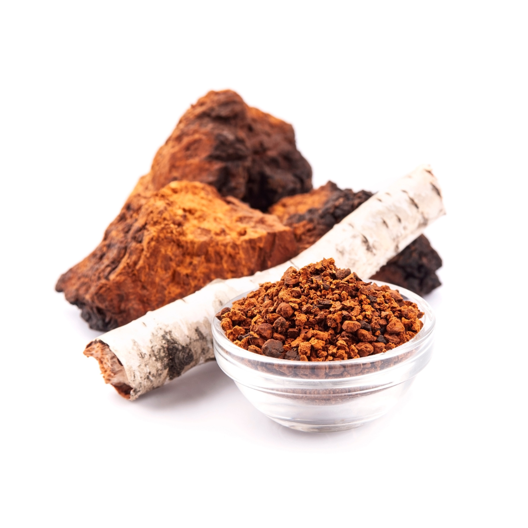 Wild Chaga Extract Product featuring chaga conk, branch of birch tree and ground chaga powder