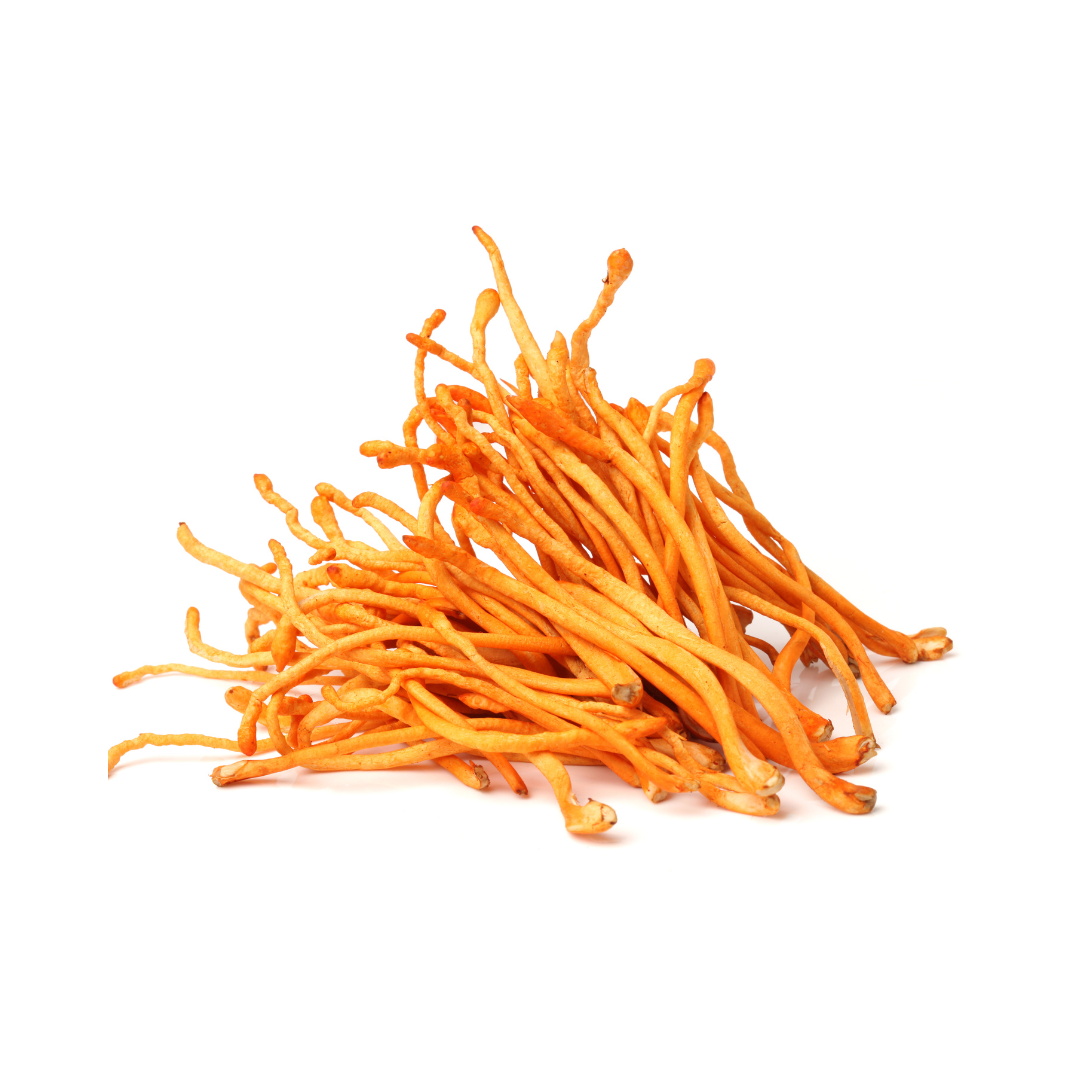 Cordyceps Militaris and Sinensis strains (Cs-4) for increasing V02 Max; an indication of oxygen levels in the blood which increases energy levels and reduces fatigue