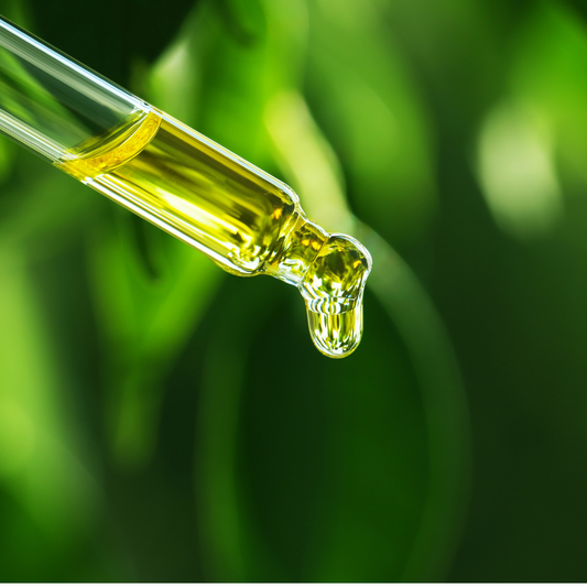 What is an 'Extract' exactly?