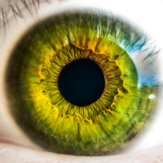 Refresh Your Focus and Start Seeing Clearly