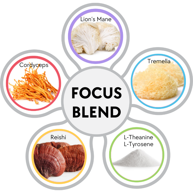 Focus Mushroom Powder