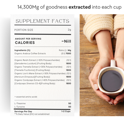 Coffee: Focus Blend