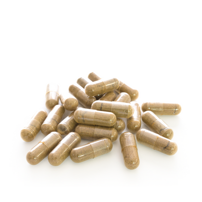 Focus Mushroom Powder