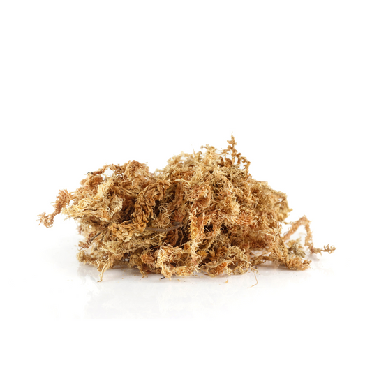 Sea Moss Extract