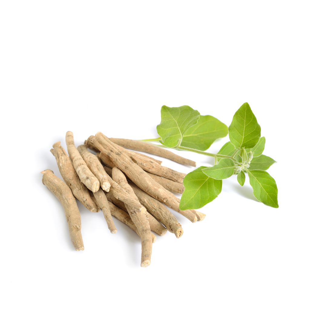 Ashwagandha Extract