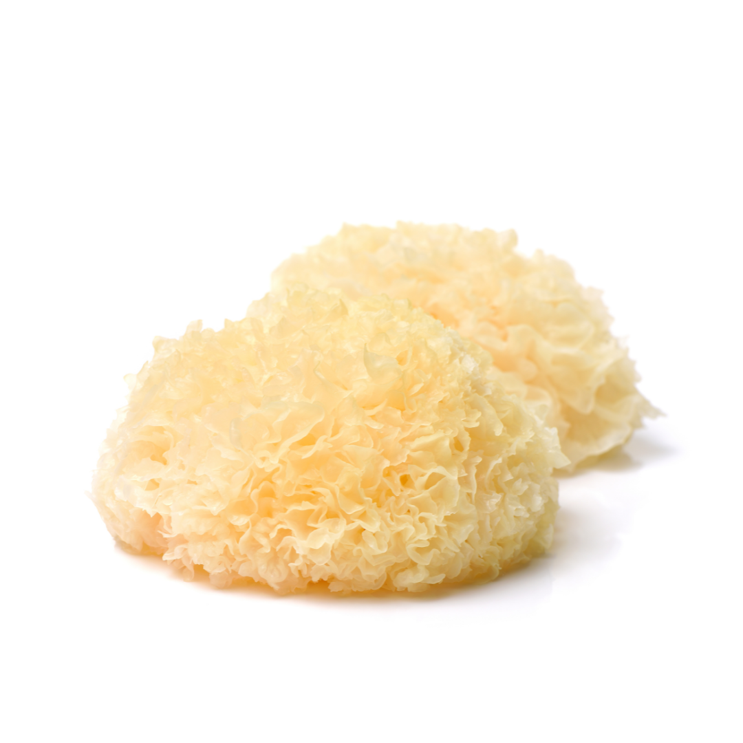 Tremella Extract Product featuring snowball mushrooms and health benefits of the tremella mushroom